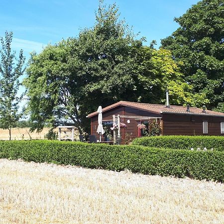 Bie Oans Oefje Villa Lewedorp Eksteriør billede
