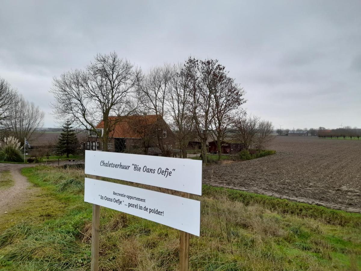 Bie Oans Oefje Villa Lewedorp Eksteriør billede