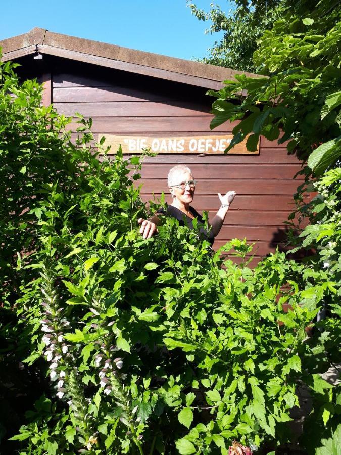 Bie Oans Oefje Villa Lewedorp Eksteriør billede